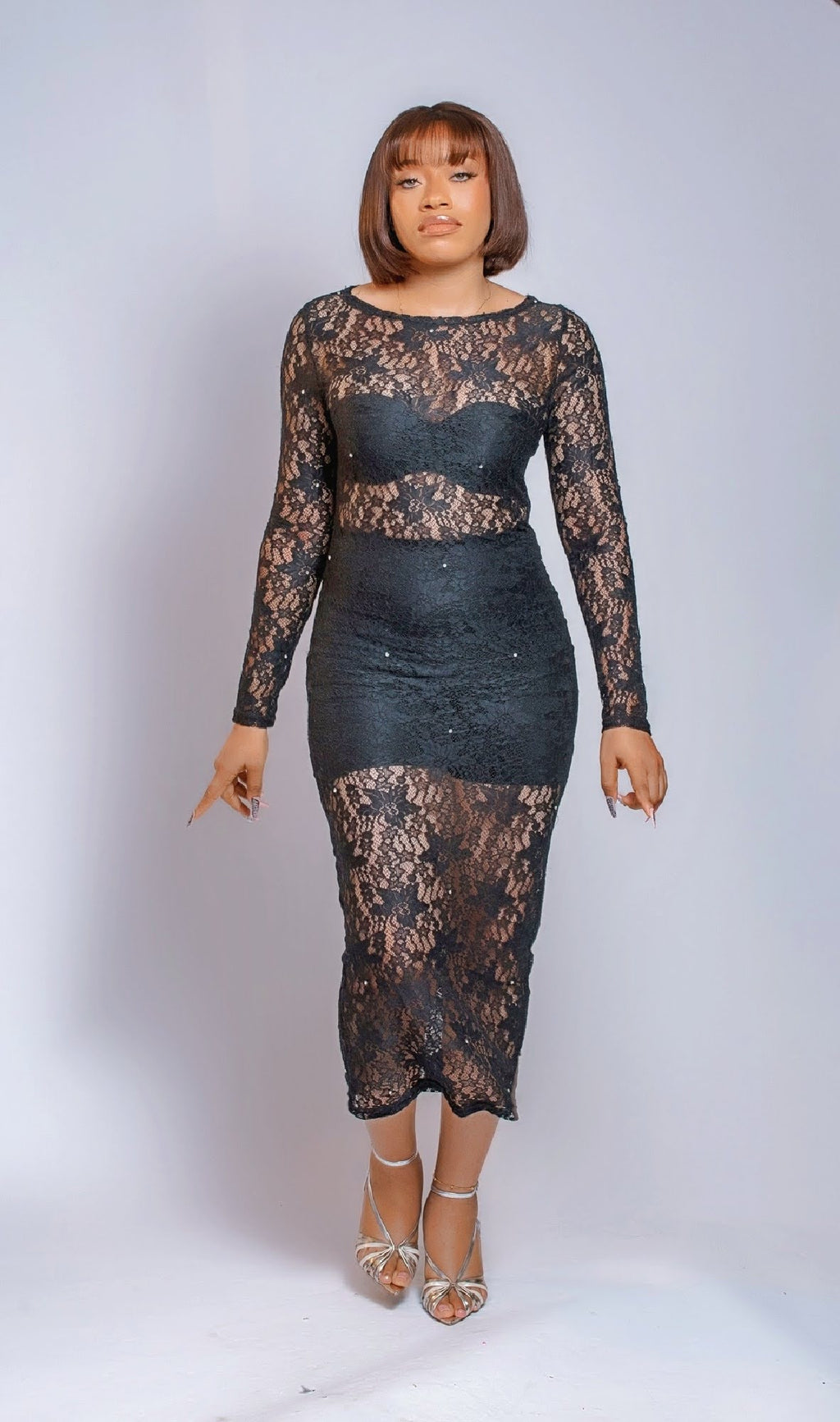 Women's Long Sleeve Sheer Lace Maxi Dress, Black Floral Pattern, Ankle Length